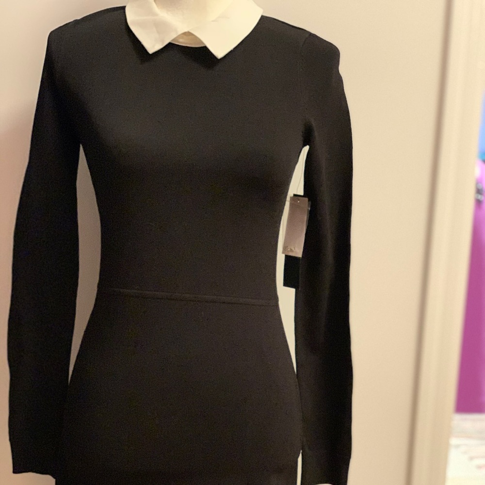 Cinthia Steffe dress.